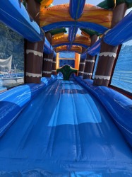 Alligator Alley IMG 0005 1752771371 Alligator Alley